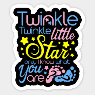 Twinkle Twinkle Little Star Only I Know What You Are - Gender Keeper Gender Reveal Party Sticker