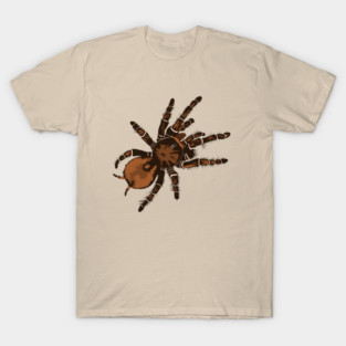 Goliath Bird Eating Spider T-Shirt