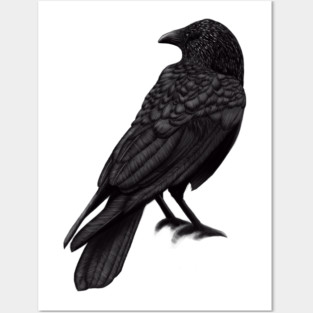 Raven Posters and Art