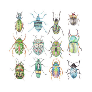 Beetles in Shades of Green T-Shirt