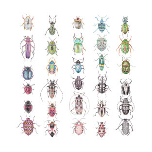 Beetles in a rainbow of colors T-Shirt