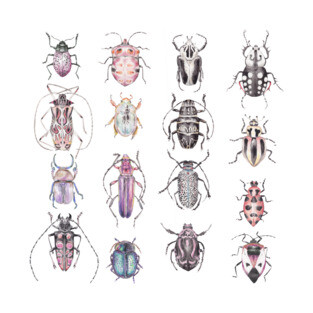 Beetles in Pinks Purples Black and White T-Shirt