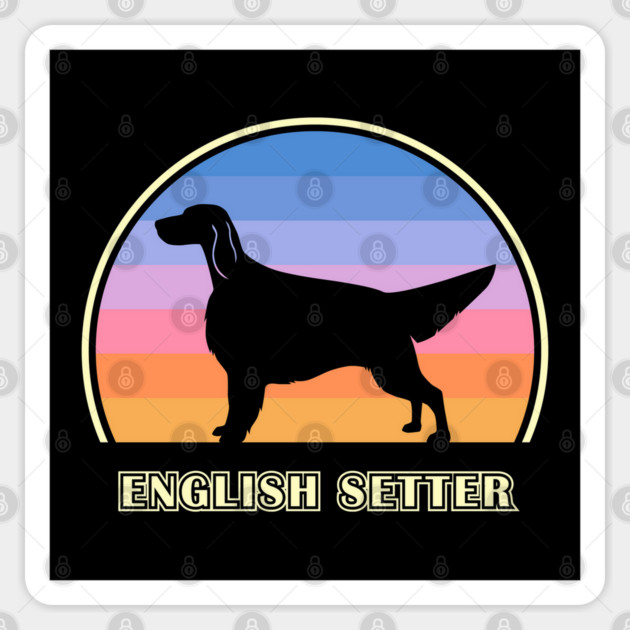 English Setter Vintage Sunset Dog Sticker by millersye