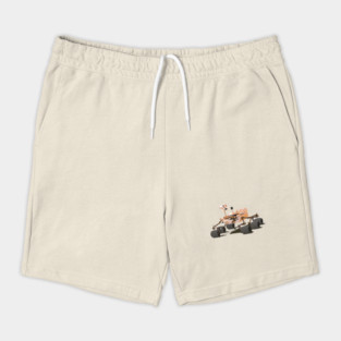 Curiosity Mars Rover Shorts
