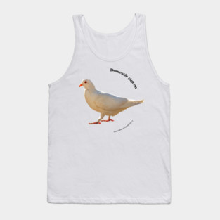 Domestic pigeon walking pin black text Tank Top