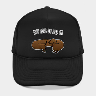 Funny Wiener Dog. Dachshund life. Hat