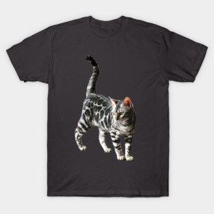 Bengal Cat Silver Spotted Leopard Kitten T-Shirt