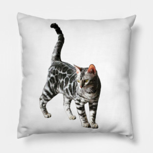 Bengal Cat Silver Spotted Leopard Kitten Pillow