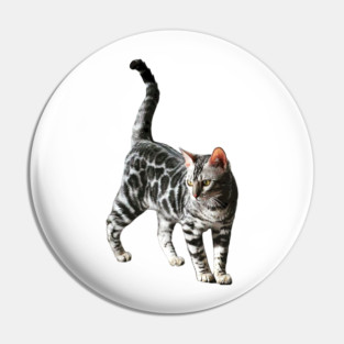 Bengal Cat Silver Spotted Leopard Kitten Pin