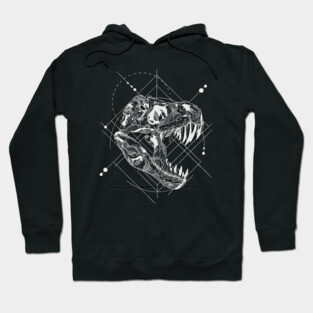 Dinosaur design Hoodie
