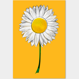 Daisy Flower Posters and Art
