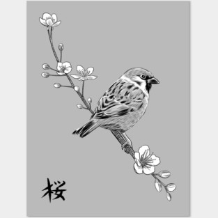 Sparrow on cherry Posters and Art