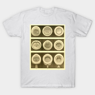 Cephalopod Mouths T-Shirt