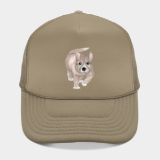 Dingo Puppy Run Hat