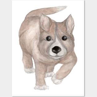 Dingo Puppy Run Posters and Art