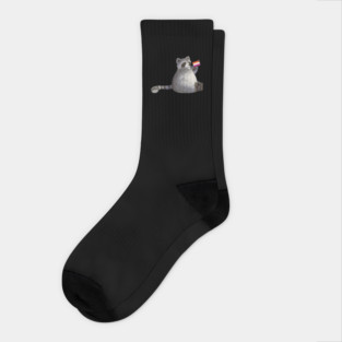 Lesbian Pride Raccoon Socks