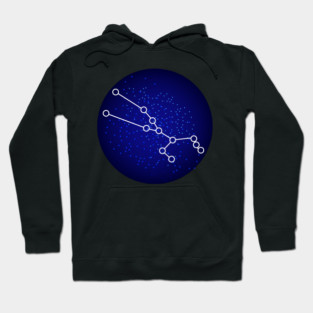 Taurus Zodiac Sign Gift Hoodie