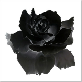 Black Rose Posters and Art
