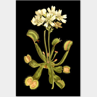 Venus Flytrap Yellow Posters and Art