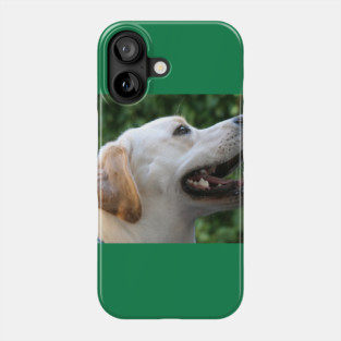 Yellow Lab Phone Case