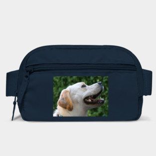 Yellow Lab Bag