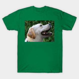 Yellow Lab T-Shirt