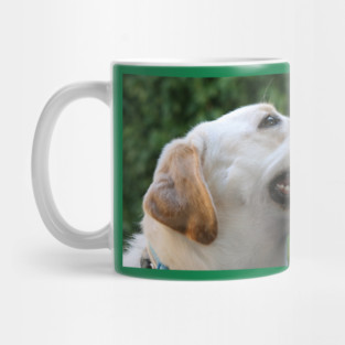 Yellow Lab Mug
