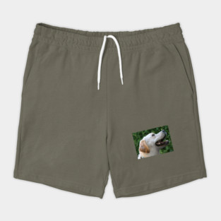 Yellow Lab Shorts