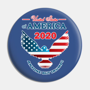 2020 Anyone but Trump Make America Nice Again Pin
