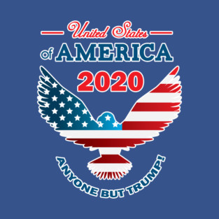 2020 Anyone but Trump Make America Nice Again T-Shirt
