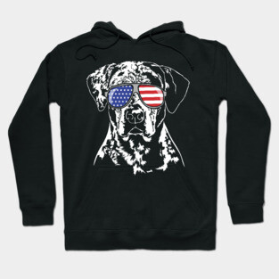 Patriotic Catahoula Leopard Dog with American Flag sunglasses Hoodie