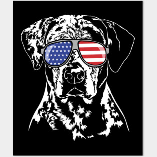 Patriotic Catahoula Leopard Dog with American Flag sunglasses Posters and Art