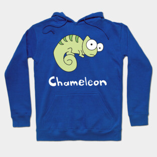 Chameleon Hoodie