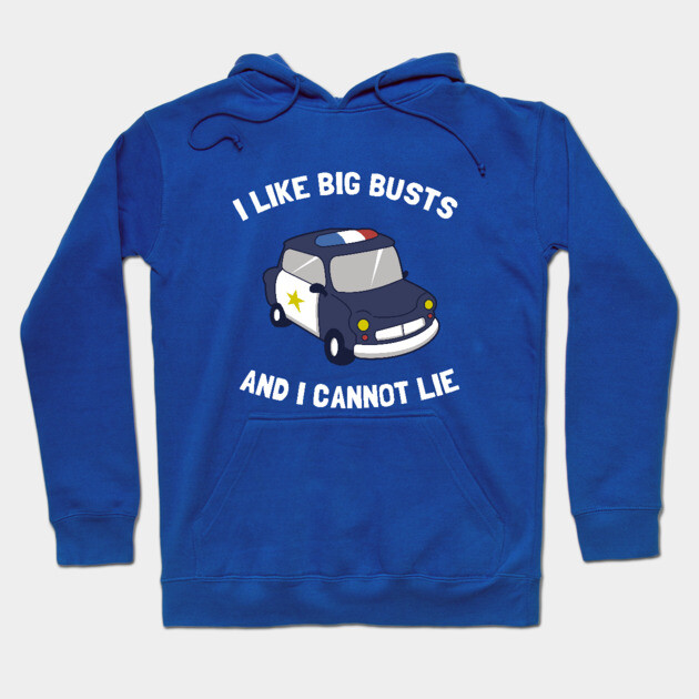 I Like Big Busts And I Cannot Lie Hoodie by dumbshirts