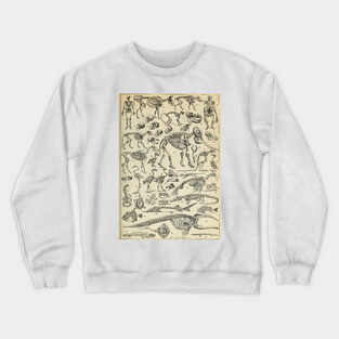 Skeletal Anatomy Crewneck Sweatshirt