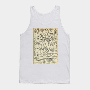 Skeletal Anatomy Tank Top
