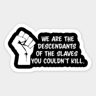 We are the descendants of the slaves you couldn't kill, black lives matter, black history, black power Magnet