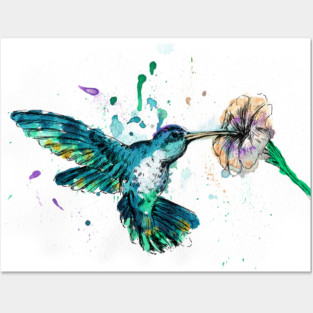 Hummingbird Image Posters and Art