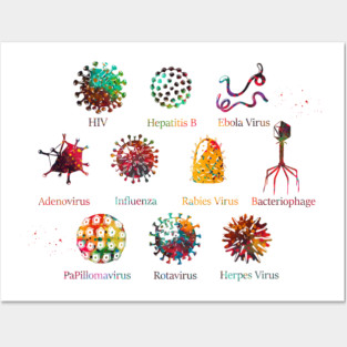 Diagram showing different kinds of viruses Posters and Art