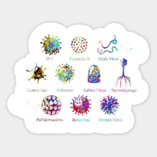 Diagram showing different kinds of viruses Sticker