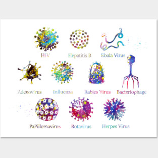 Diagram showing different kinds of viruses Posters and Art