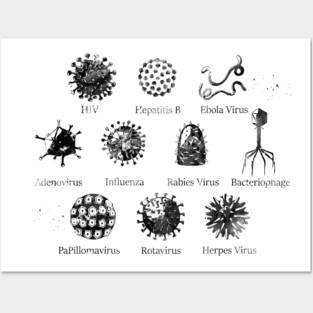 Diagram showing different kinds of viruses Posters and Art