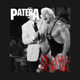 Vulgar Display Of Power T-Shirt