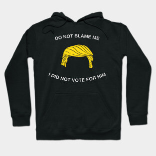 I DID NOT VOTE FOR HIM Hoodie