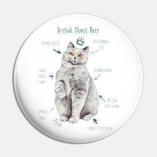 British Short Hair Kitty Illustration Pin