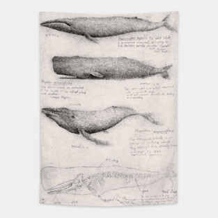 Whale Tapestry