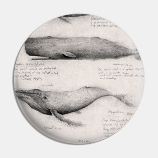 Whale Pin