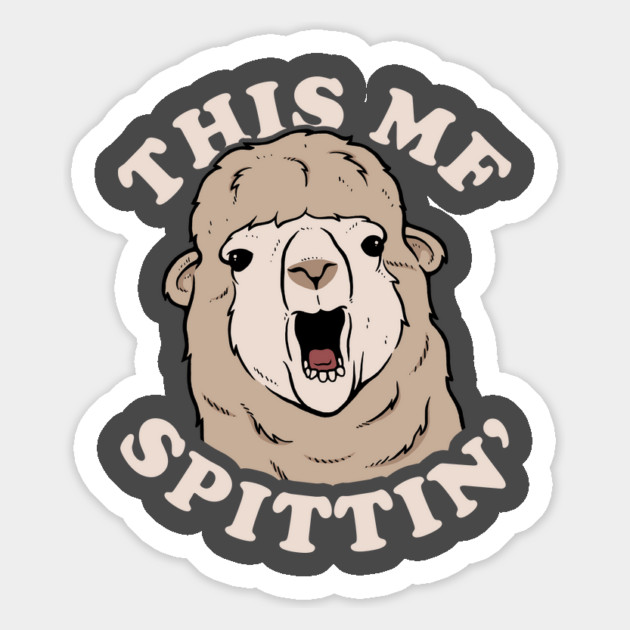 This MF Spittin Meme Llama Magnet by dumbshirts