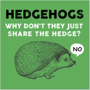 Hedgehogs - Why Don't They Just Share the Hedge? Posters and Art