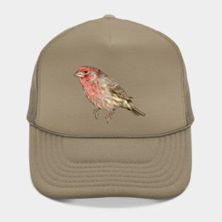 House Finch Song Bird Colorful Illustration Hat